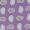 Necktie Rotate Paisley