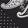 Pocket square Paisley Dot