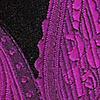 Pocket square Paisley Park