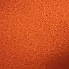 Cravat Goldy