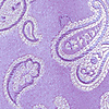 Necktie Paisley Party