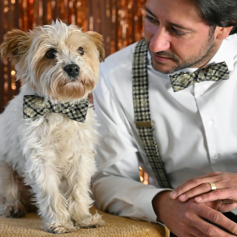 bow tie Radiant Tartan - 1