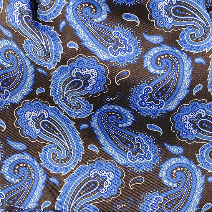 Cravat Renato Paisley