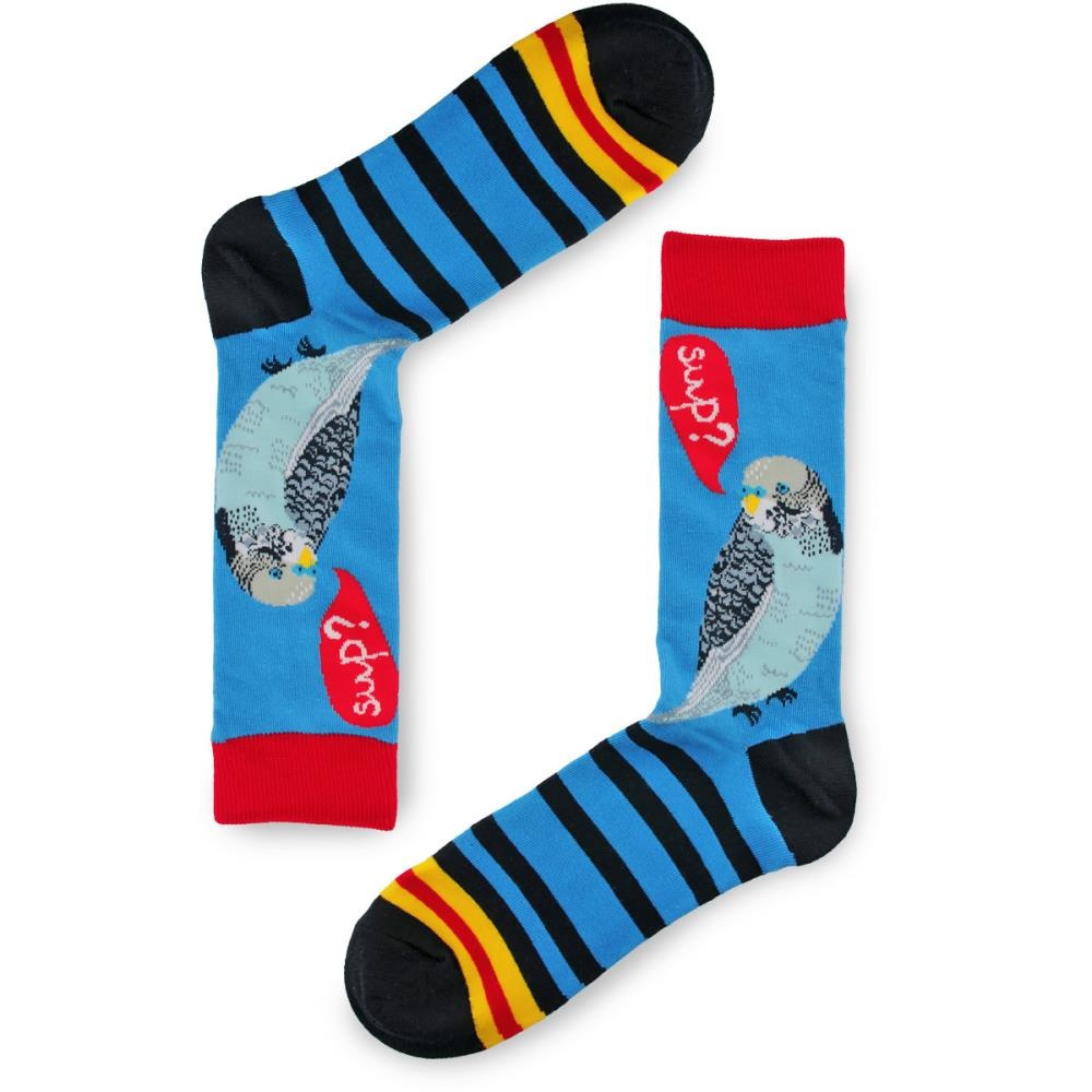 Lovely Socks Parakeet - 1