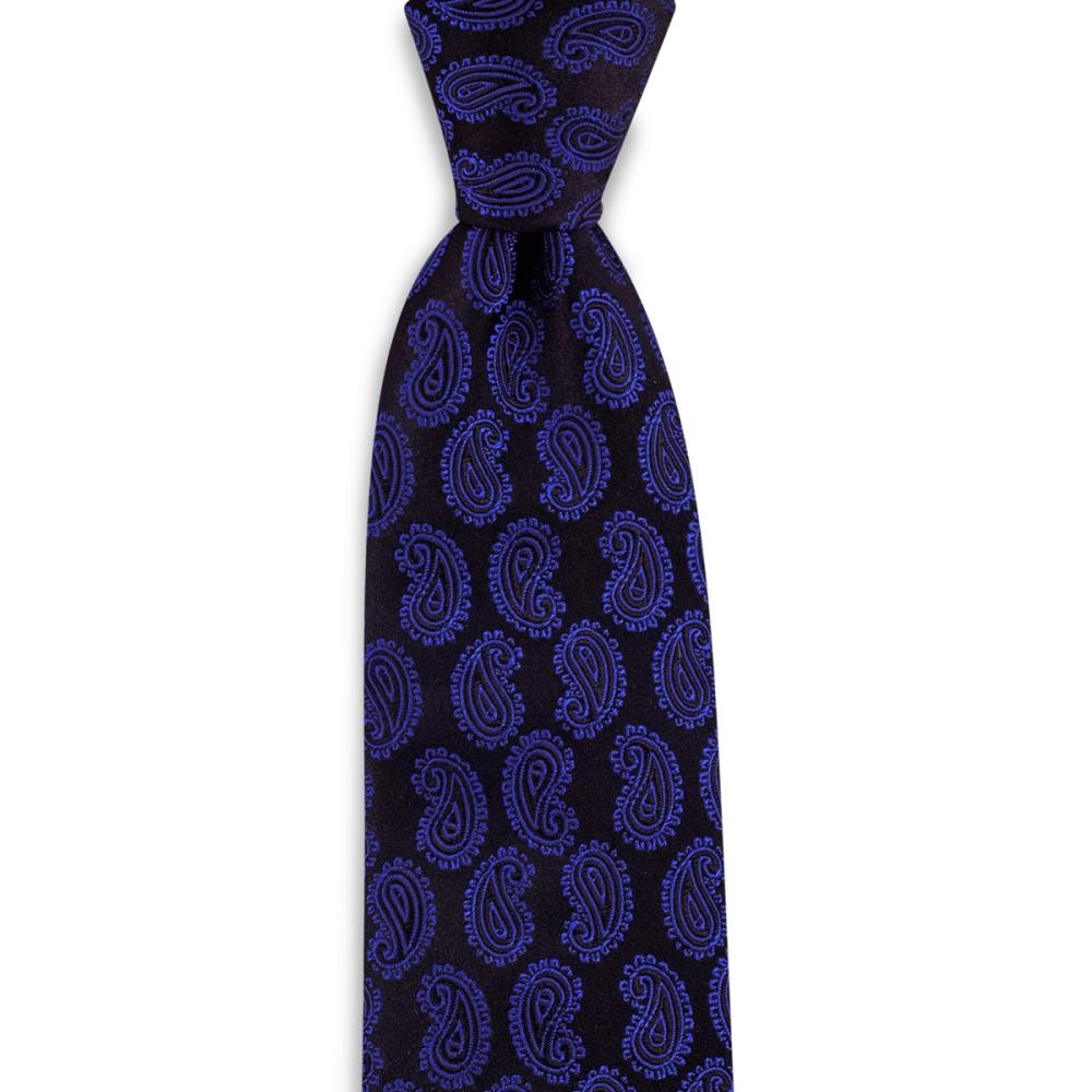 Necktie Paisley - 1