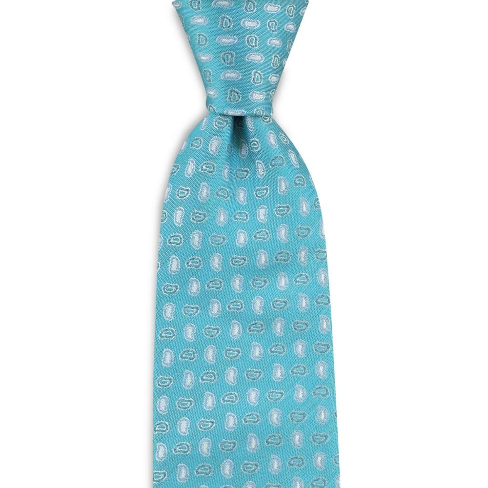 Necktie Rotate Paisley - 1