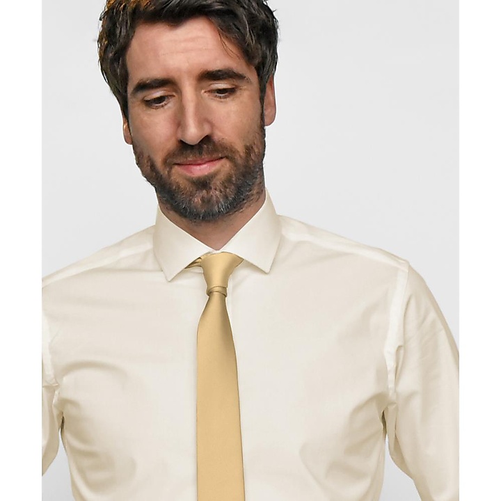 Necktie soft yellow barrow