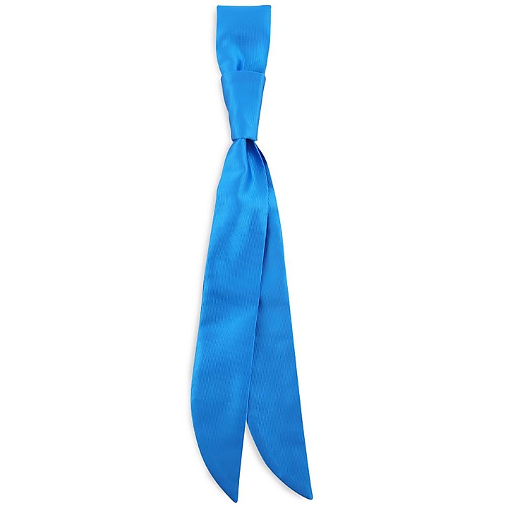 service tie process blue repp